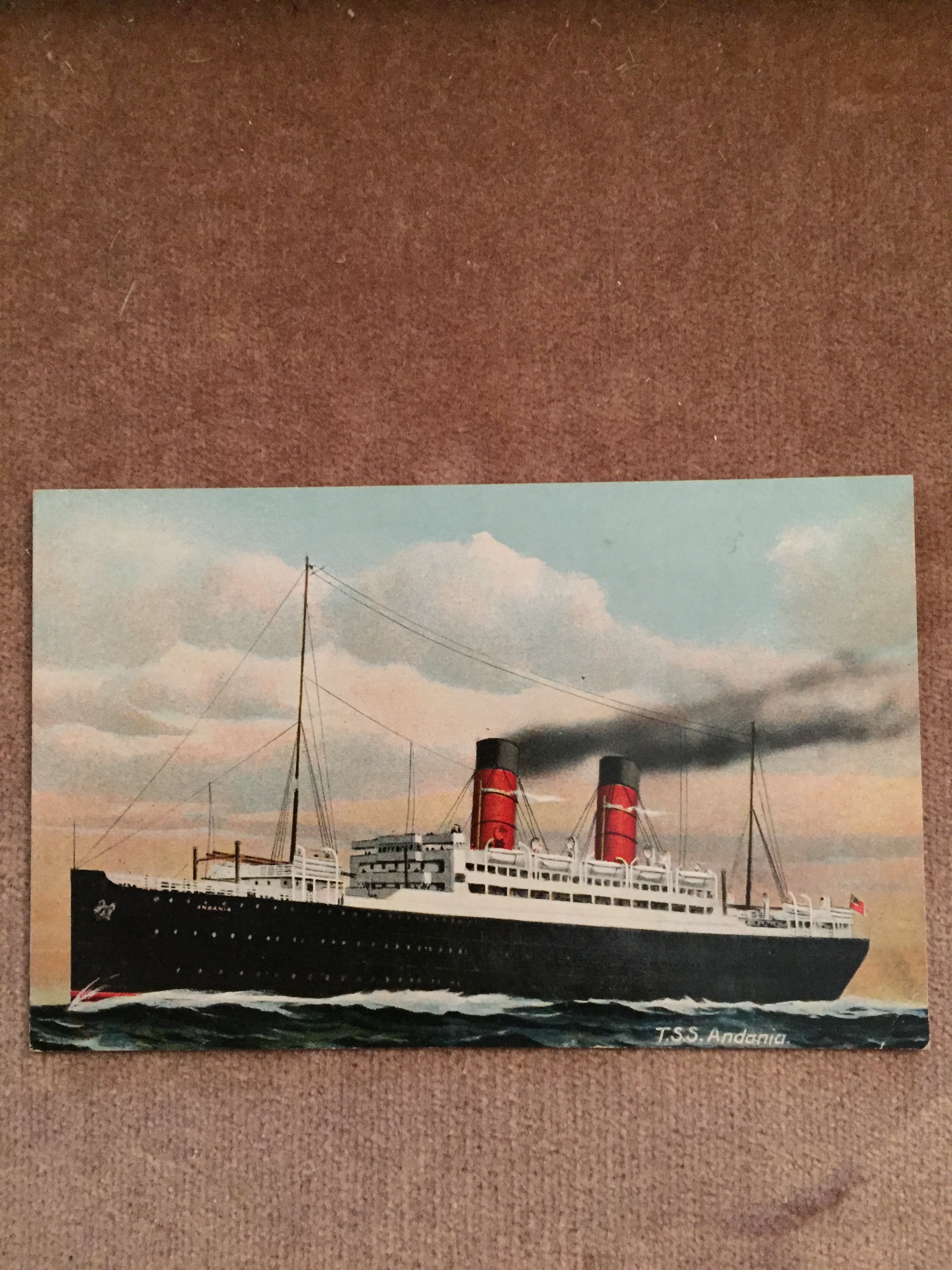 UNUSED COLOUR POSTCARD FROM THE OLD VESSEL THE TSS ANDONIA