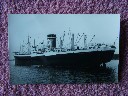 AN ORIGINAL B/W PHOTOGRAPH OF THE BLUE STAR LINE VESSEL 'THE AUCHLAND STAR'