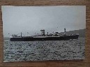 LARGE B/W PHOTOGRAPH OF THE BLUE STAR LINE VESSEL THE BRISBANE STAR