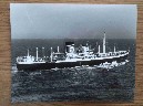 LARGE B/W PHOTOGRAPH OF THE BLUE STAR LINE VESSEL THE ENGLISH STAR