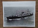 LARGE B/W PHOTOGRAPH OF THE BLUE STAR LINE VESSEL THE GEELONG STAR