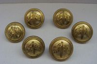 SET OF 6 LARGE SIZE GOLD COLOURED OFFICERS COAT BUTTONS FROM THE NEW ZEALAND STEAMSHIP COMPANY