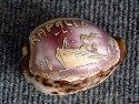 UNUSUAL CARVED SHELL SOUVENIR FROM THE OLD STEAMER 'RAPALLO'