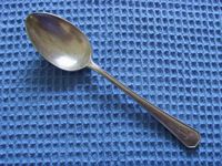 IN SERVICE DESSERT SPOON FROM THE ORIENT LINE