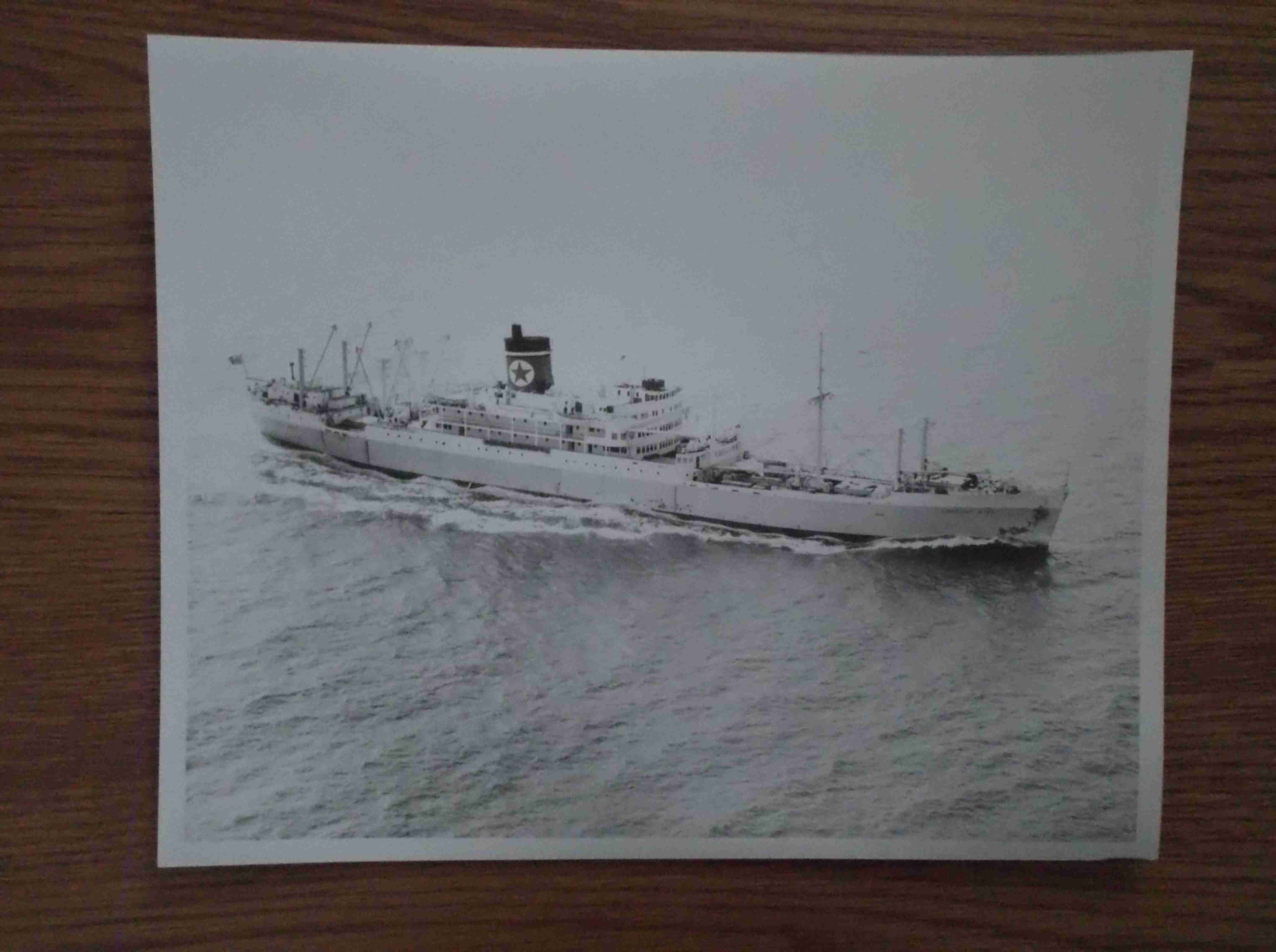 LARGE B/W PHOTOGRAPH OF THE BLUE STAR LINE VESSEL THE URUGUAY STAR