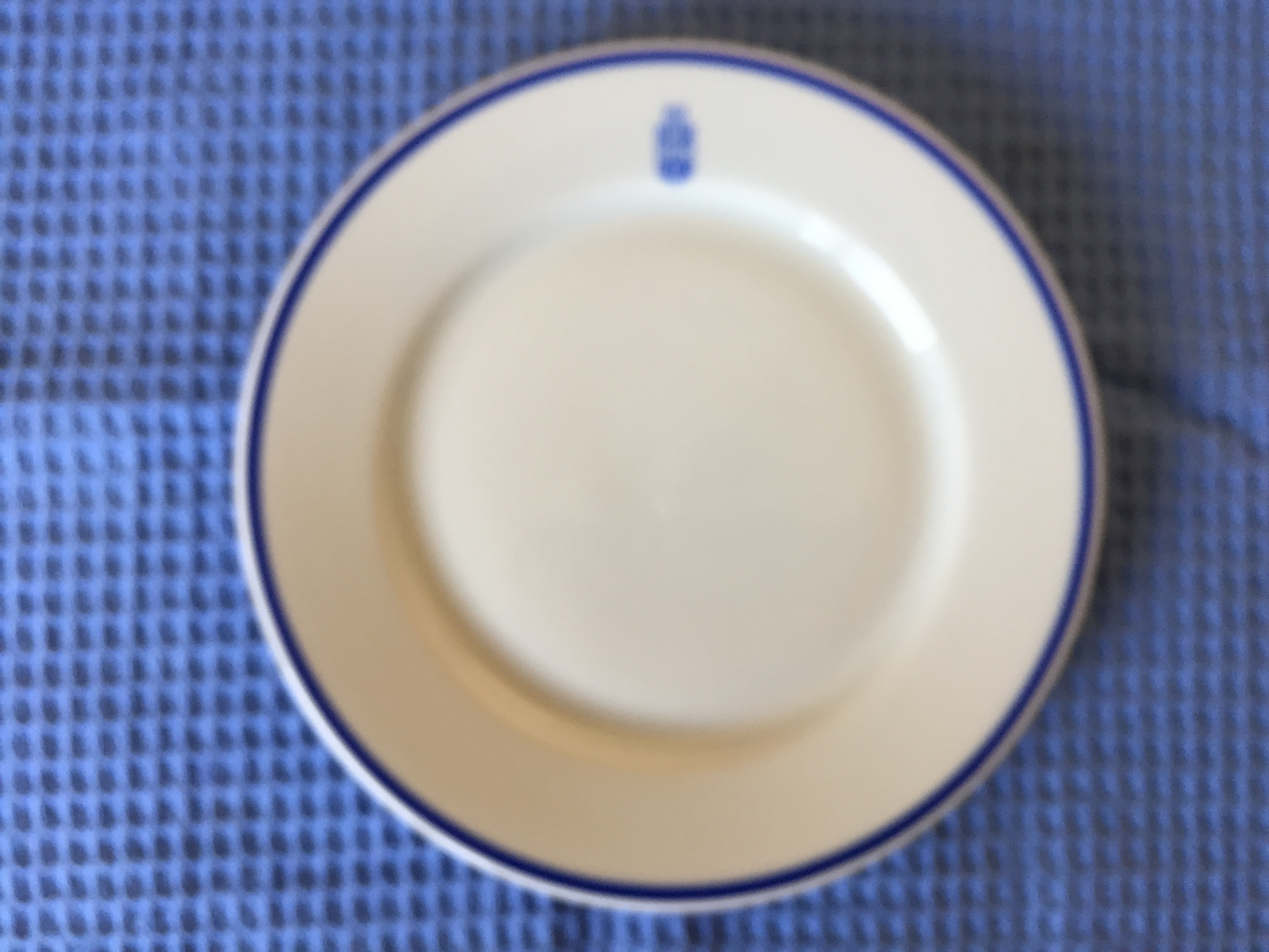 RARE TO FIND CHINA PLATE FROM THE POLISH OCEAN LINE SHIPPING COMPANY  
