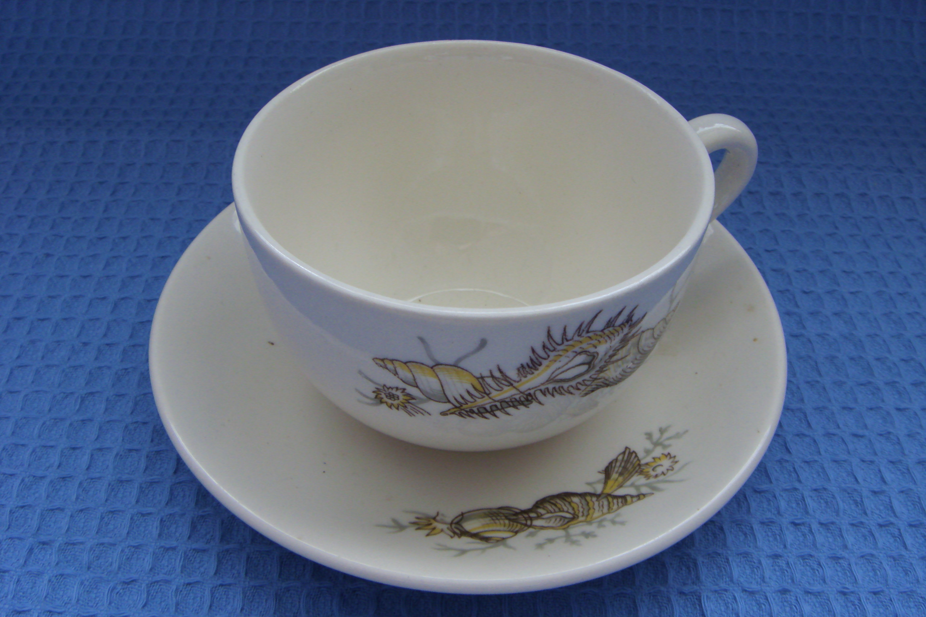 SEASHELL DESIGN CUP & SAUCER FROM THE ORIENT LINE