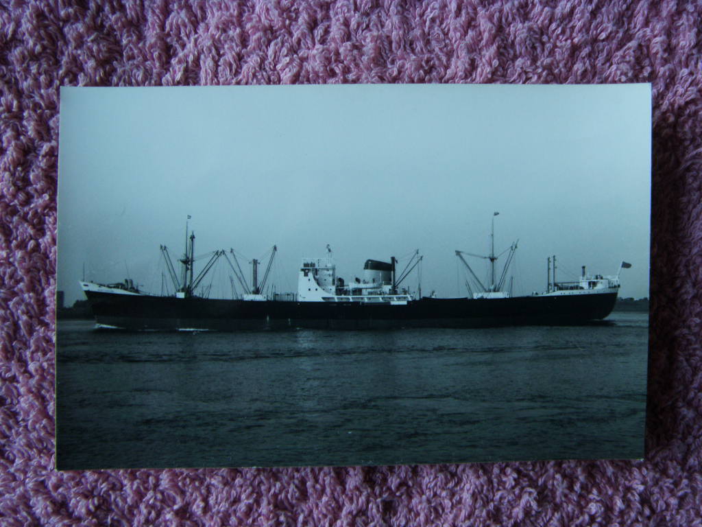 ORIGINAL B/W PHOTOGRAPH OF THE BANK LINE VESSEL THE NORTHBANK