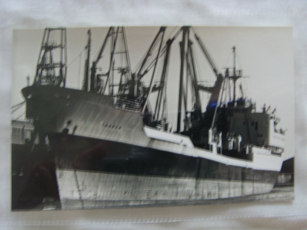 ORIGINAL B/W PHOTOGRAPH OF THE HARRISON LINE VESSEL THE TRADER